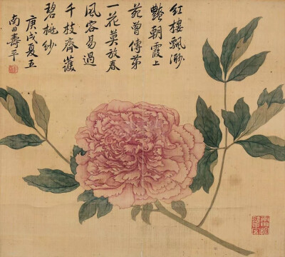 收集 点赞 评论 明 唐寅《题牡丹图》花鸟画立轴《题牡丹图》是