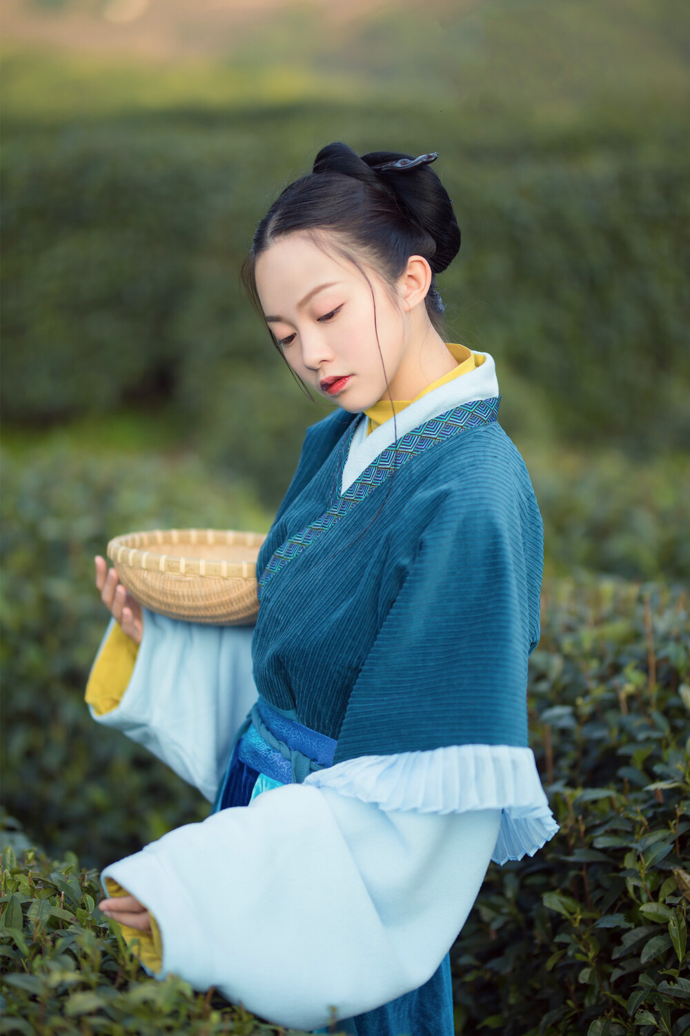 采茶纪