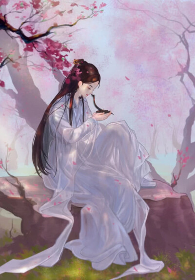 插画白浅