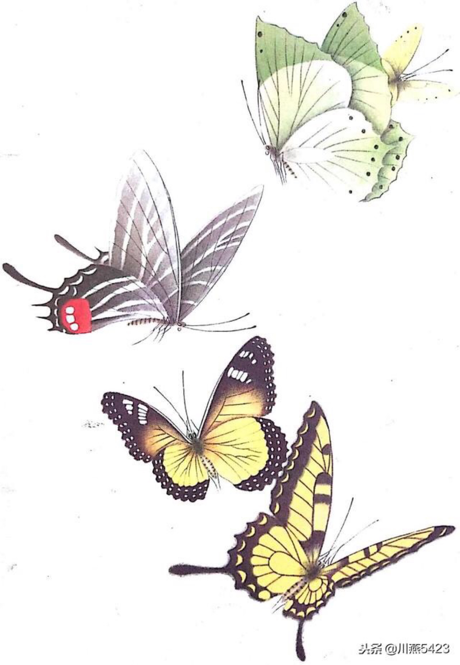 蝴蝶国画写意画法简单图片