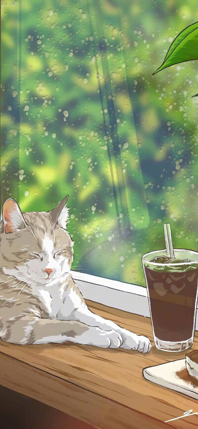 猫 壁纸