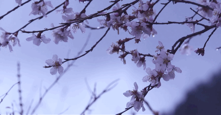 gif - 堆糖,美图壁纸兴趣社区