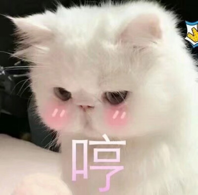 真好