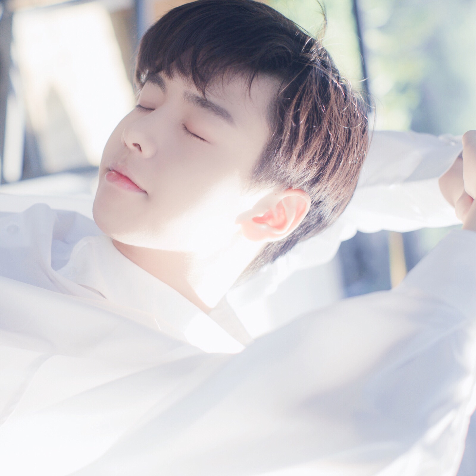 喜收藏 禁二传.