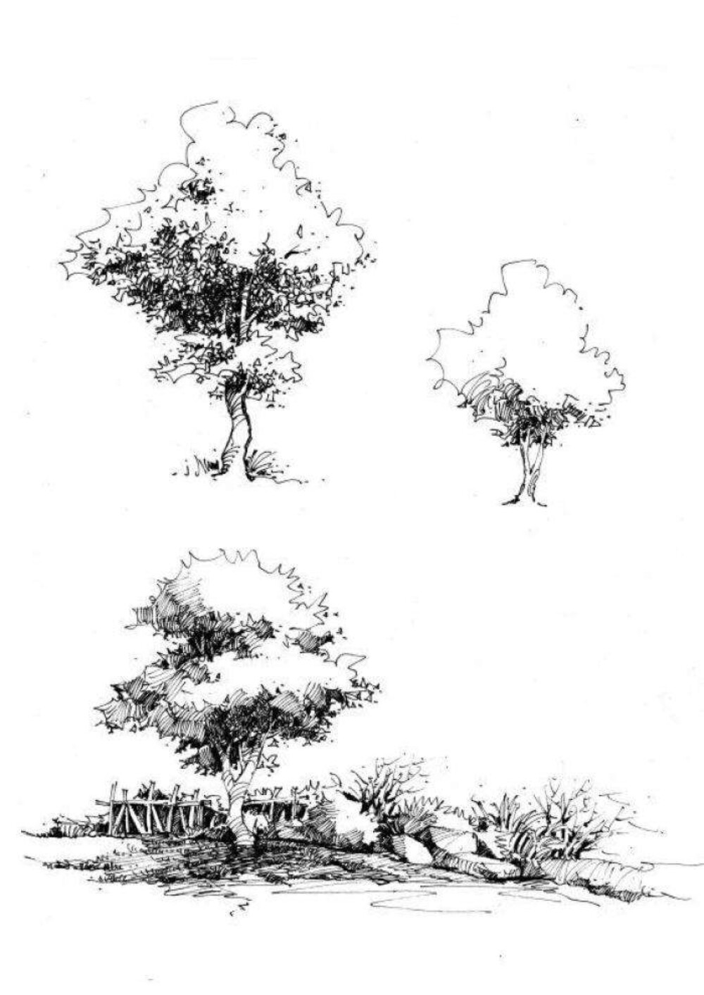 手绘平面树画法图片