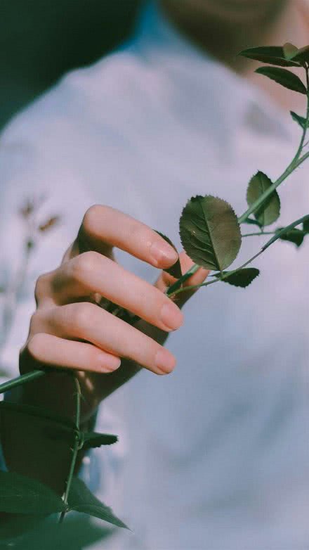 时光静好,与君语;细水流年,与君同;繁华落尽,与君老. ——仙枫红叶