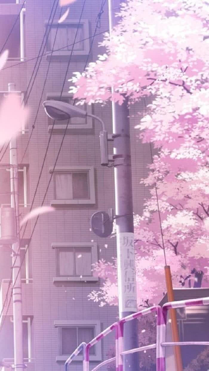 2019年1月13日 7:55   关注  壁纸 粉色系 评论 收藏