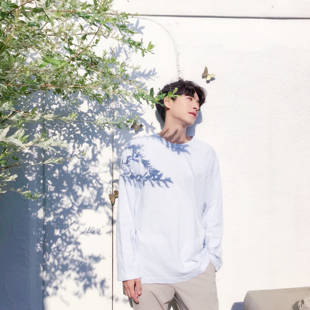 喜收藏 禁二传.