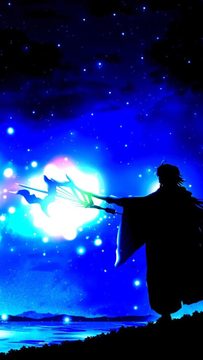 fate lancer壁纸