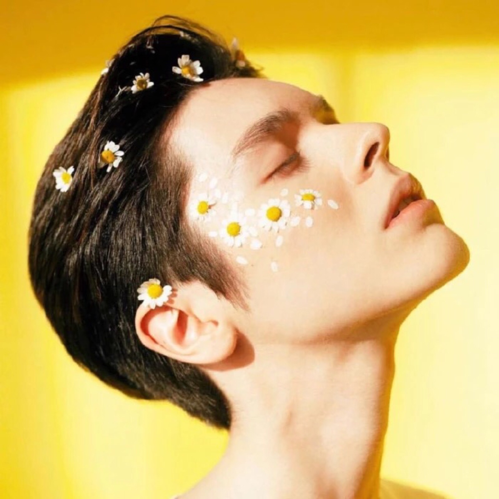 kristian kostov 克里斯蒂安·科斯托夫