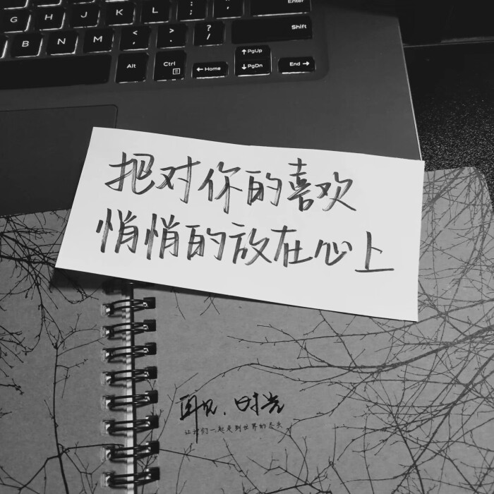 手写背景 by快手肥婷