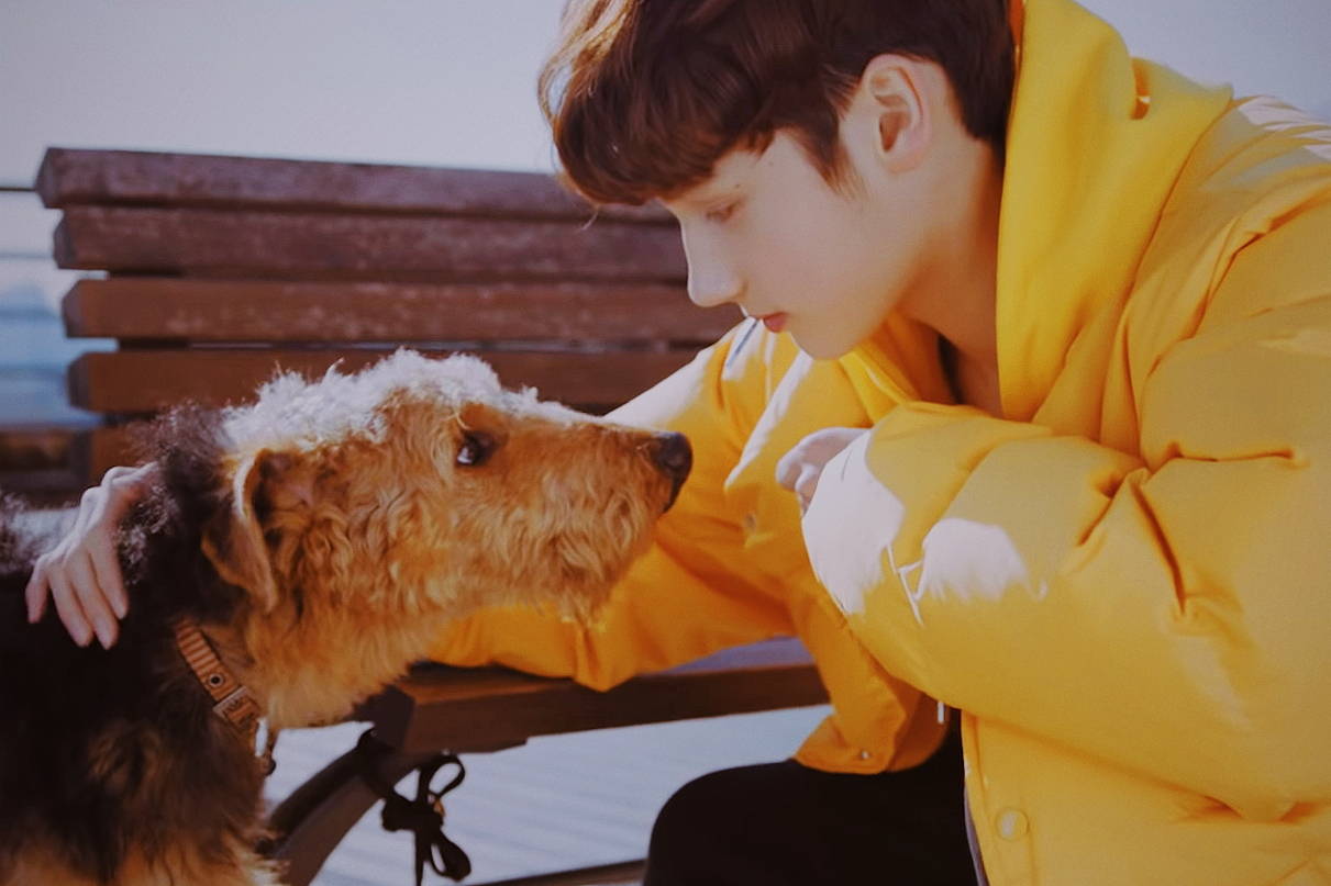 hueningka 休宁凯 - 堆糖,美图壁纸兴趣社区