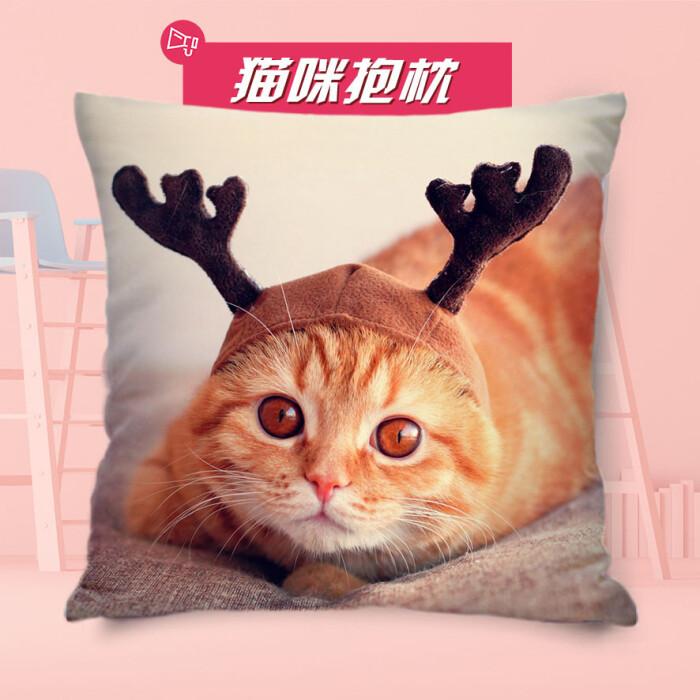 小猫咪抱枕定制照片靠枕diy枕头套情侣创意来图定做猫奴生日礼物