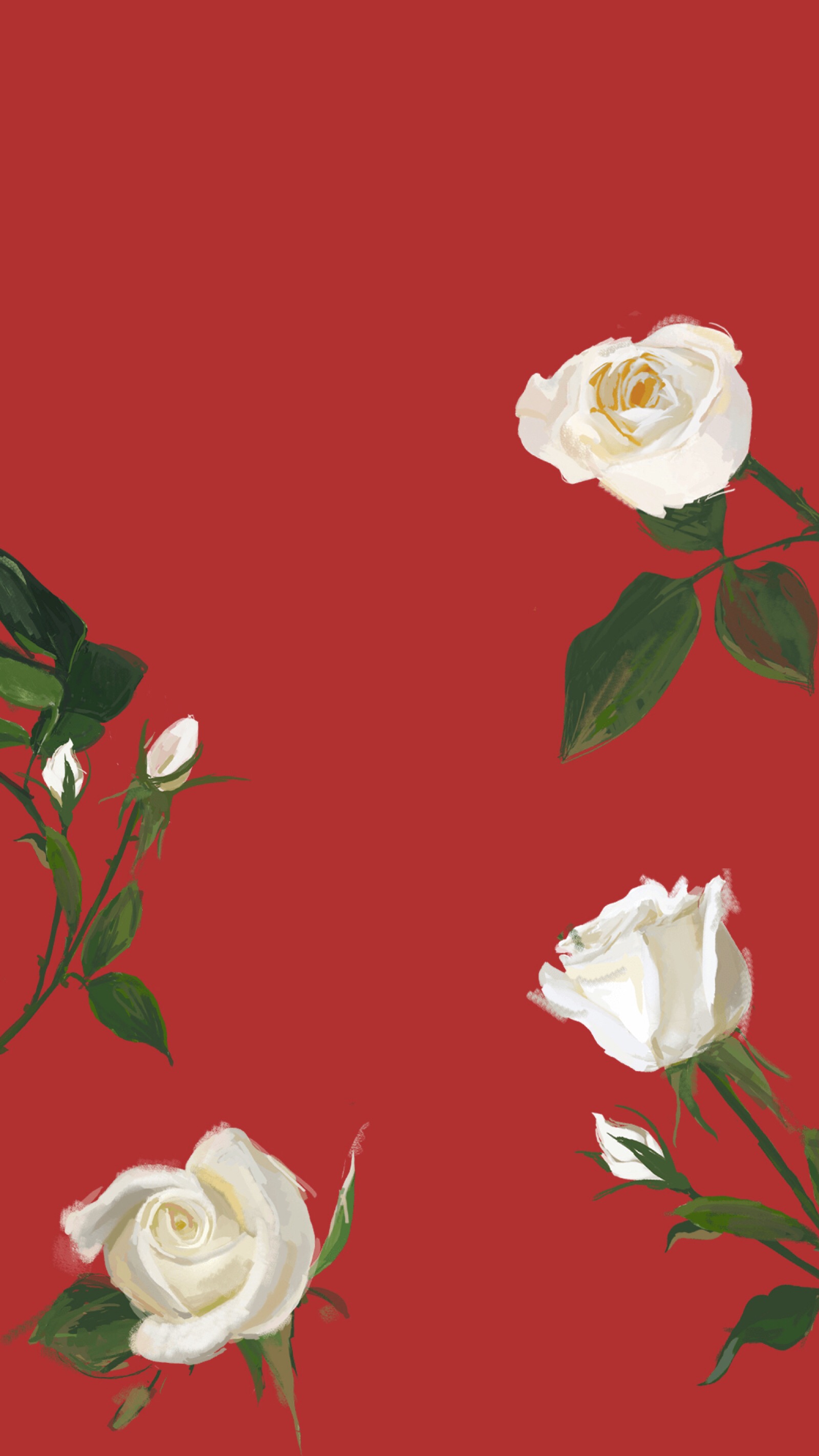 玫瑰花背景图全屏图片