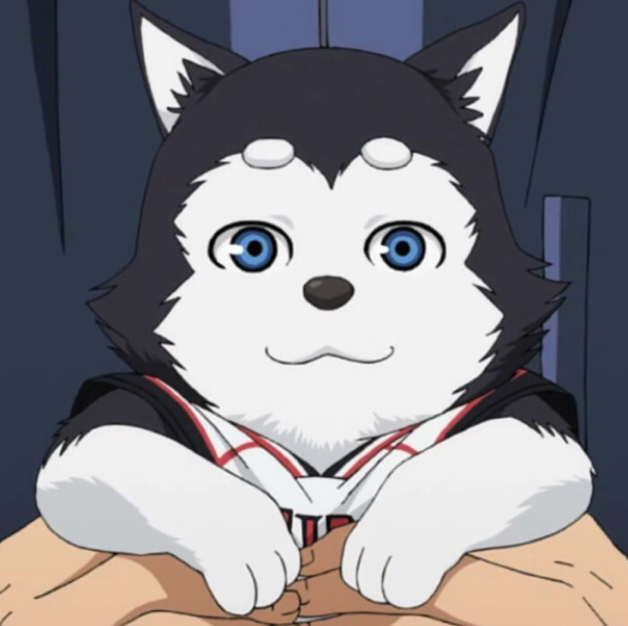 朔夜
