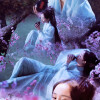 三生三世十里桃花白浅 夜华