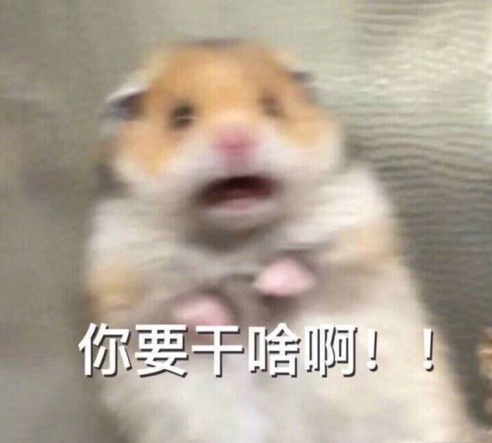 情侣表情包
