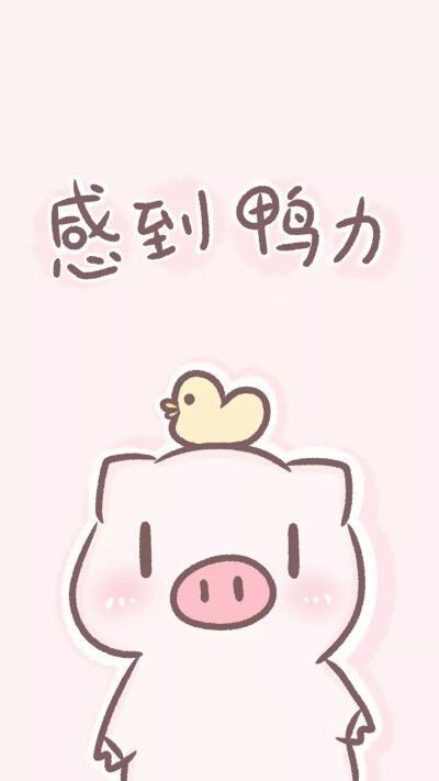 可爱的胖猪猪 堆糖,美图壁纸兴趣社区