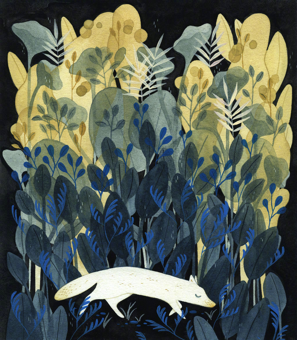 美国插画师maggiechiang绘画作品wwwhellomaggieccom