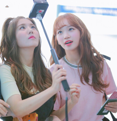 izone/权恩妃/权恩菲/权姐/女士/名人/兔子/eunbi