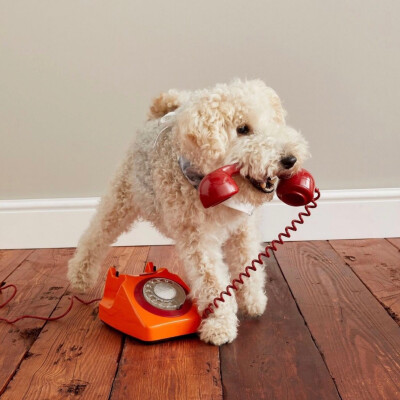 搞笑我们是认真的