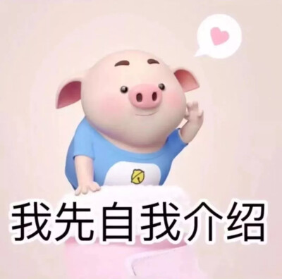 简单介绍一下我自己表情包