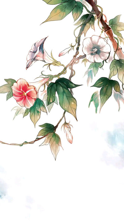 花间美人