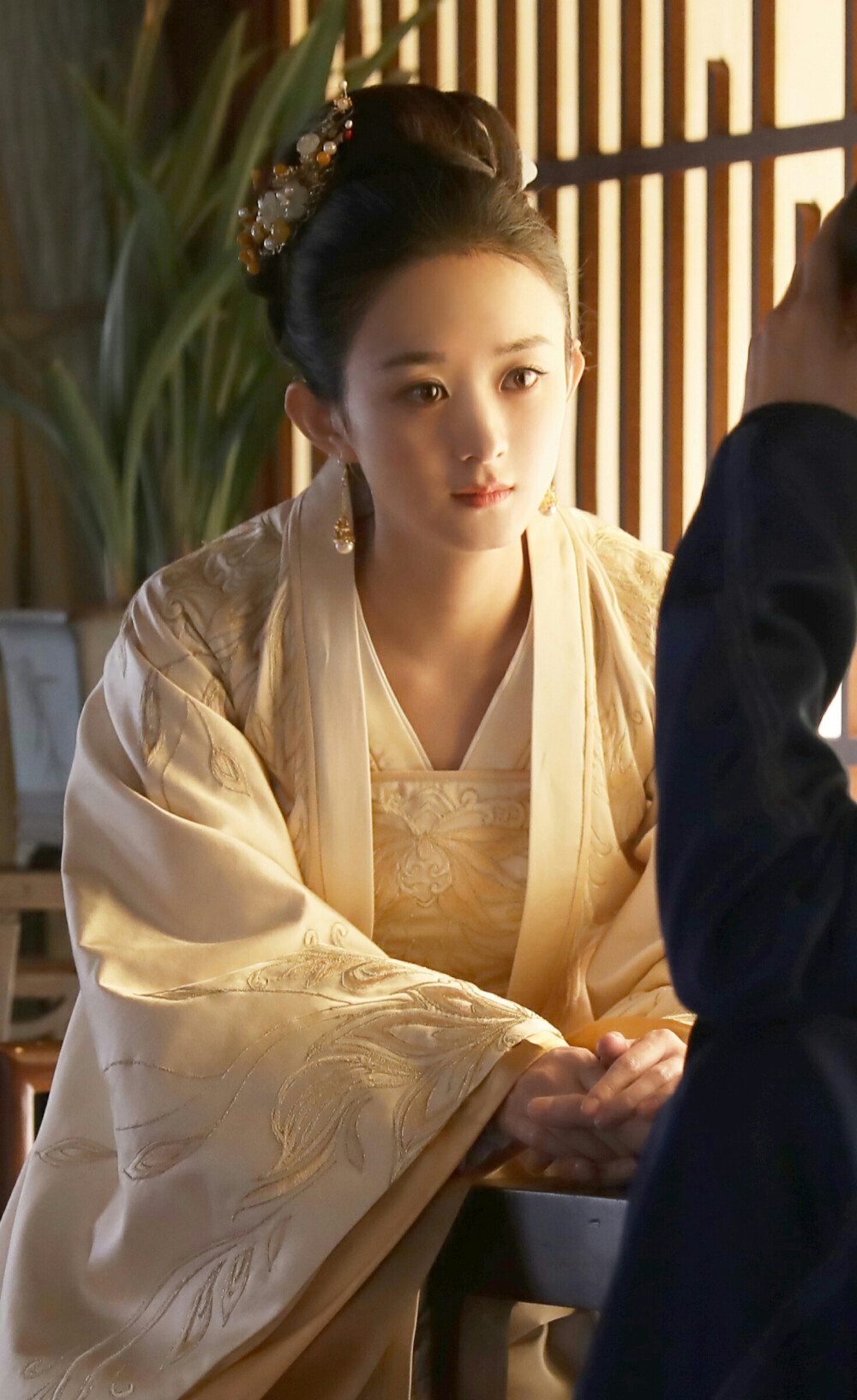 赵丽颖《知否知否应是绿肥红瘦》【盛明兰】