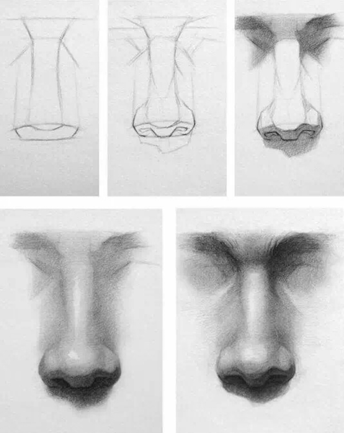 鼻子素描学生作品图片