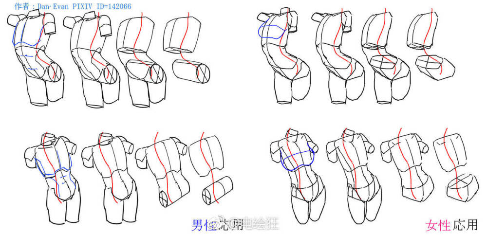 人体结构教程 微博:电绘狂 