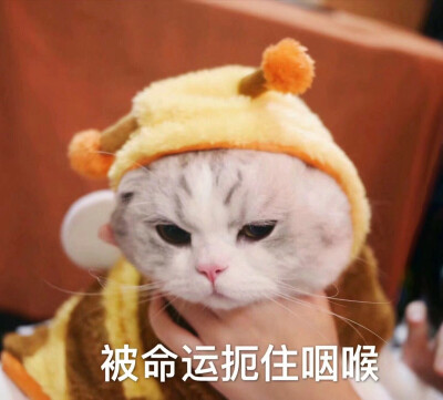 扼住命运的脖颈