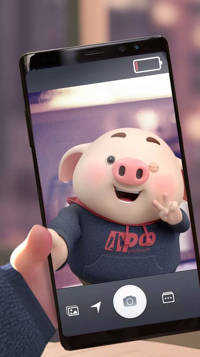 猪拿手机自拍的照片图片