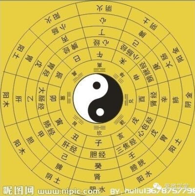 八卦图所对应人体脏器图片