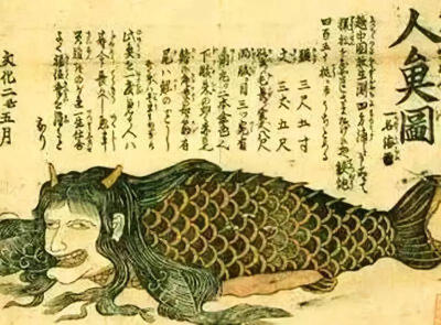 这里所说的陵鱼即古代传说中的人鱼,人面鱼身,也称作冰夷人,鲛人