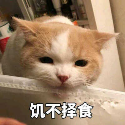 理我一下的表情包