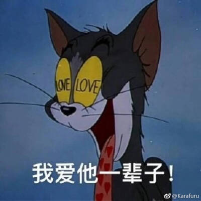 追星女孩的语录
