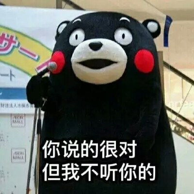 t谈恋爱表情包