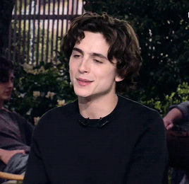 甜茶timothée chalamet