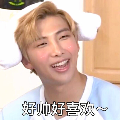 防弹少年团 表情包 金南俊 rm