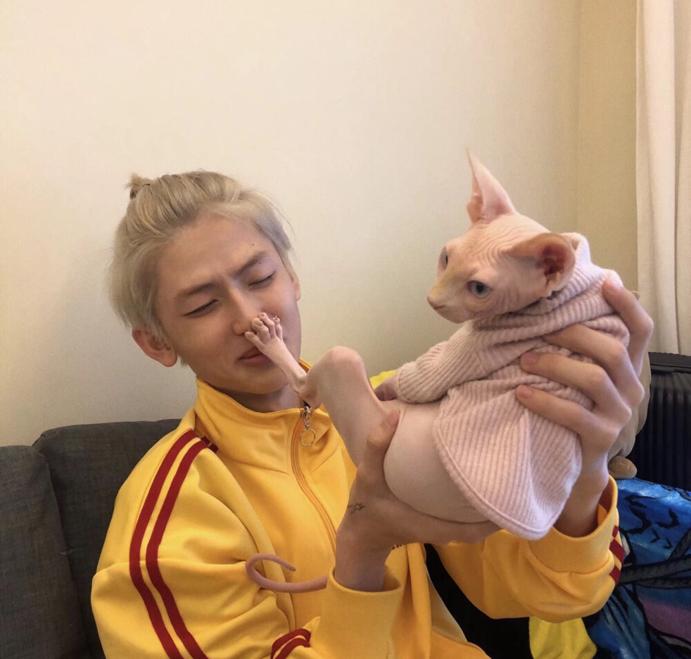 glockiebae_  关注  评论 收藏