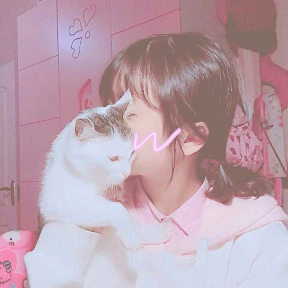 猫 女头