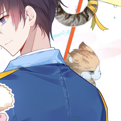 拎猫入住情人节