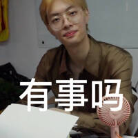 李梅花表情包