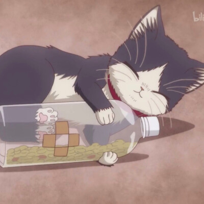 同居人是猫