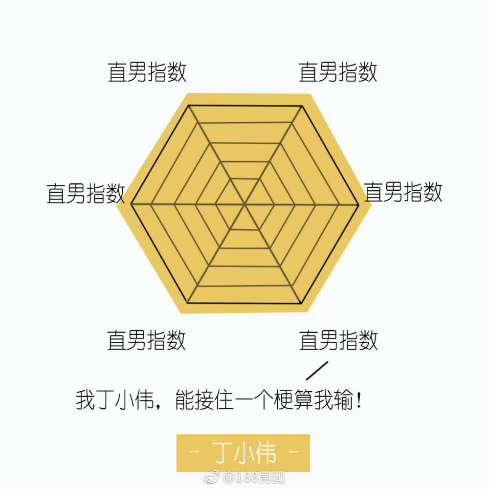 188男团 丁小伟