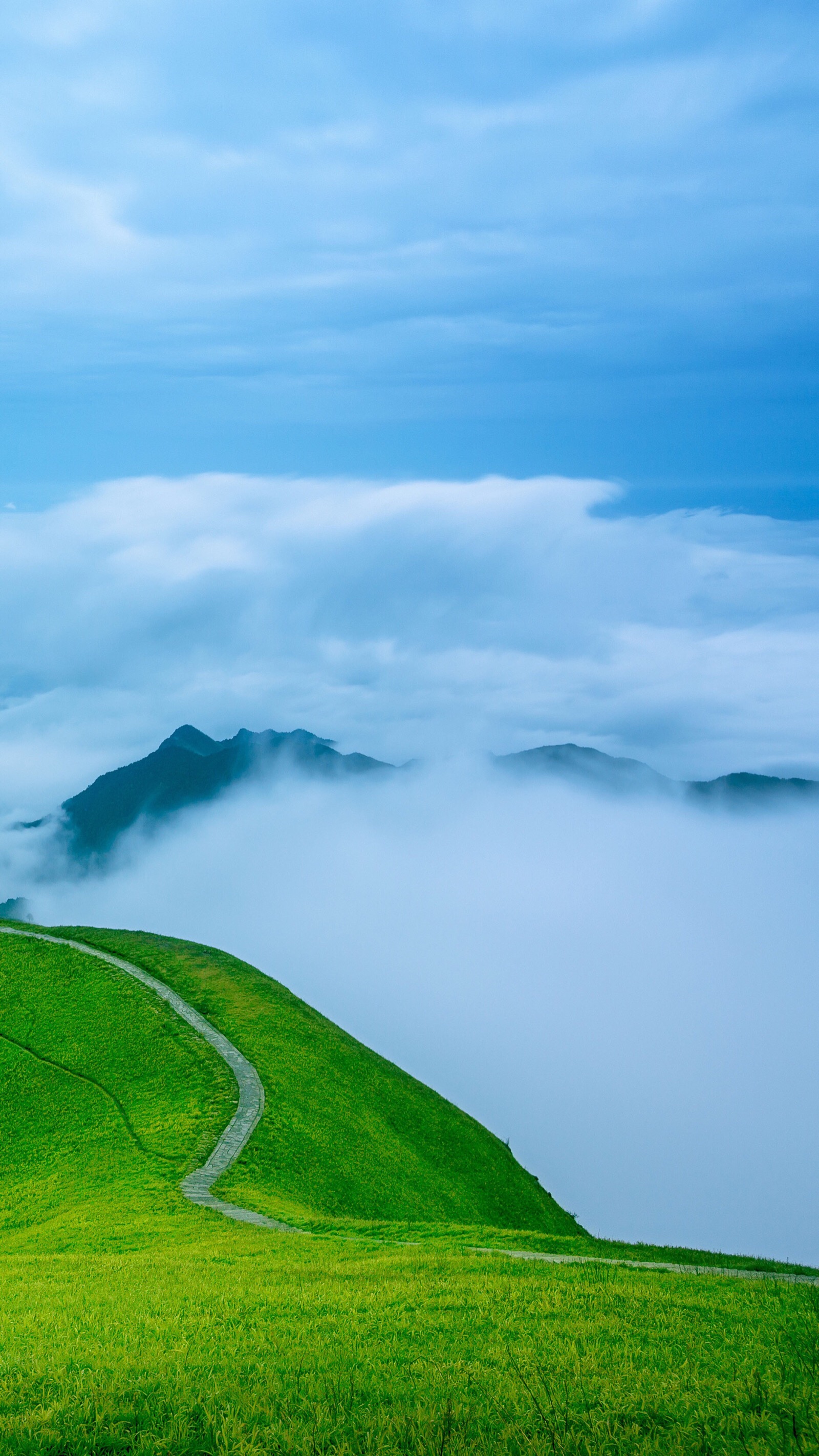 风景