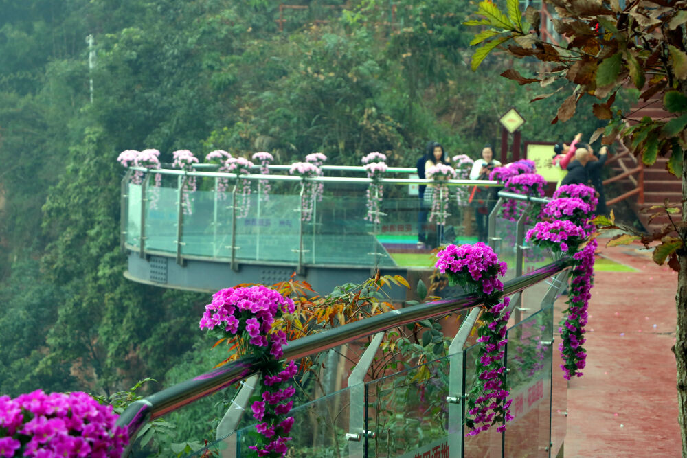 "中国·泸州·花田酒地幸福酒久七彩玻璃栈道"是西南具特色的七彩玻璃