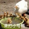 印尼小胖tantan