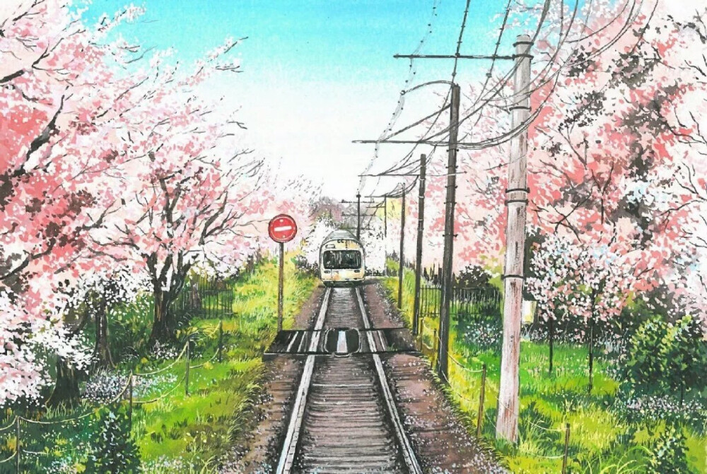 富士山樱花彩铅简笔画图片