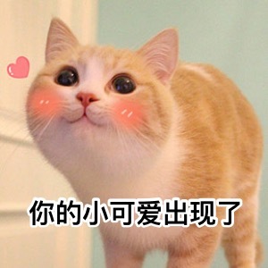 萌萌表情包可爱